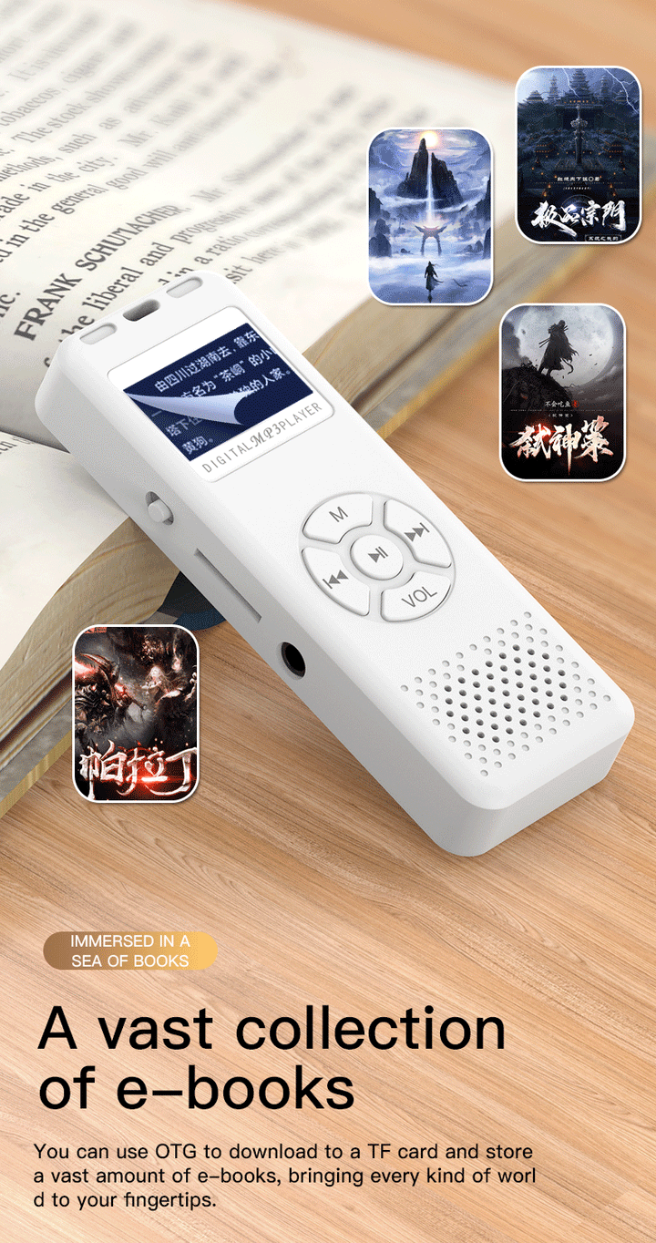 Customizable MP3